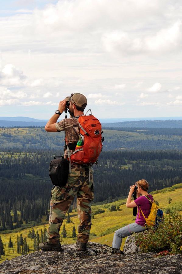 Caribou Lodge Alaska Talkeetna Eksteriør bilde