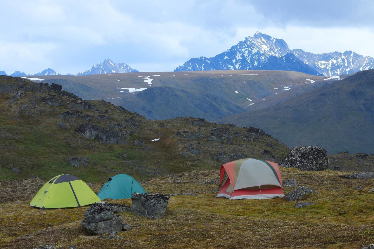 Caribou Lodge Alaska Talkeetna Eksteriør bilde