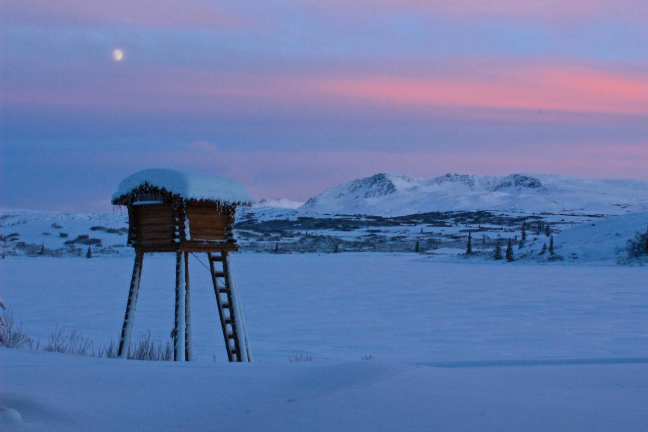 Caribou Lodge Alaska Talkeetna Eksteriør bilde