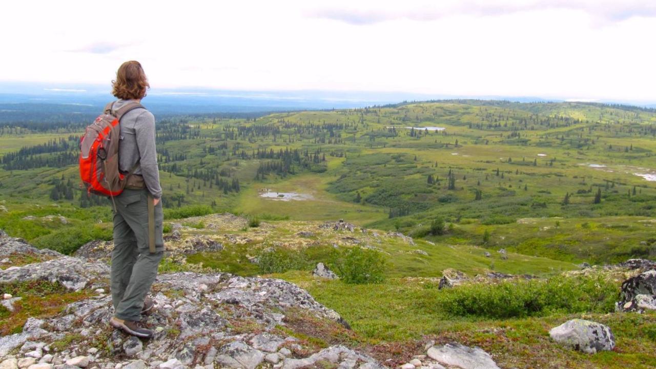 Caribou Lodge Alaska Talkeetna Eksteriør bilde