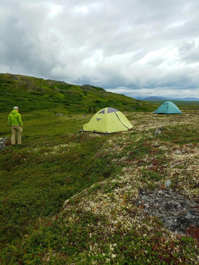 Caribou Lodge Alaska Talkeetna Eksteriør bilde