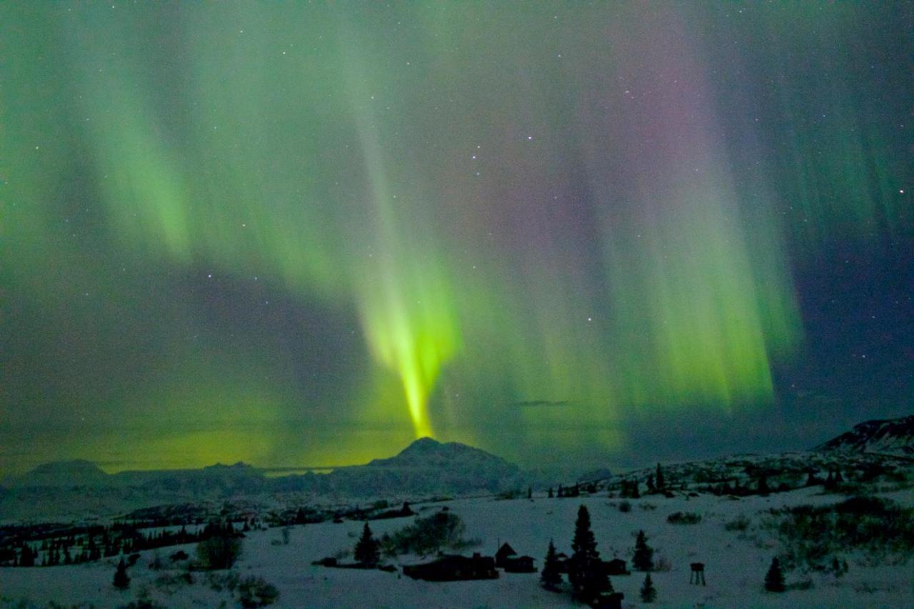 Caribou Lodge Alaska Talkeetna Eksteriør bilde