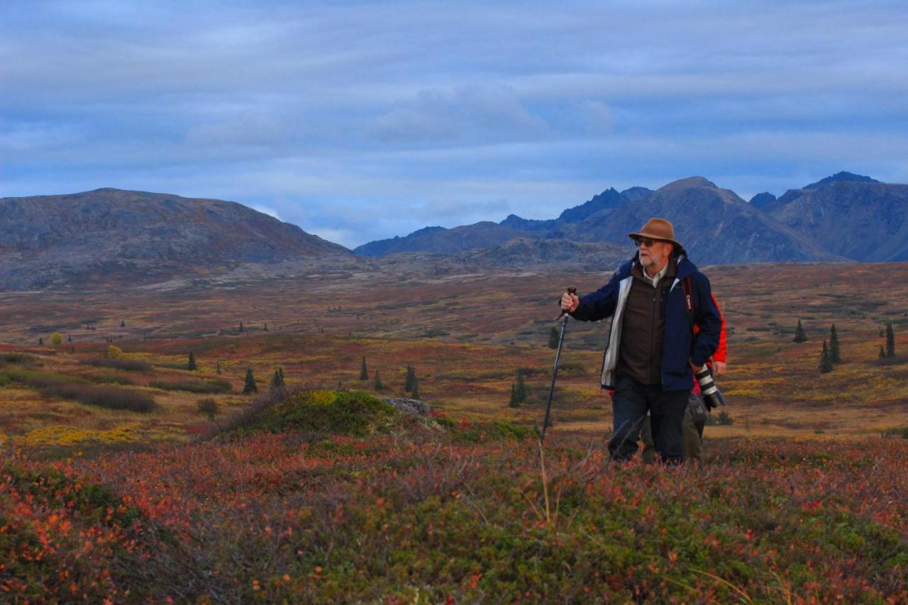 Caribou Lodge Alaska Talkeetna Eksteriør bilde