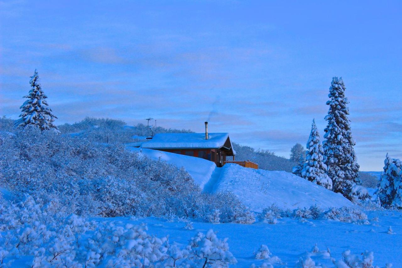 Caribou Lodge Alaska Talkeetna Eksteriør bilde